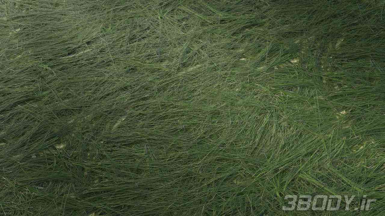 متریال چمن وحشی wild grass عکس 1
